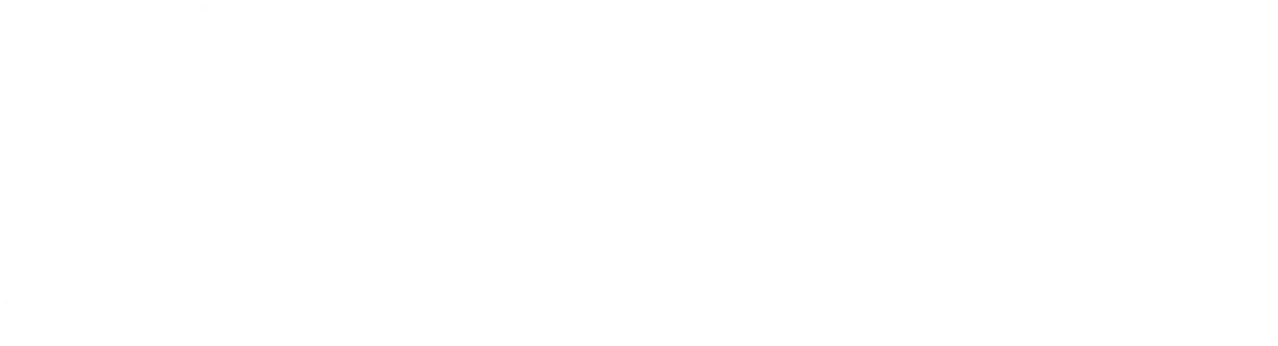Provex